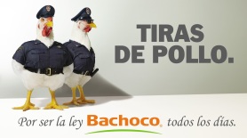 publicidad_bachoco_00